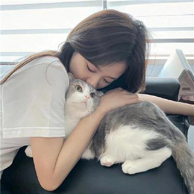 秋霜花落泪